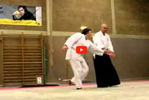 Aikido Training